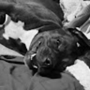 Meet your Posher, Deana